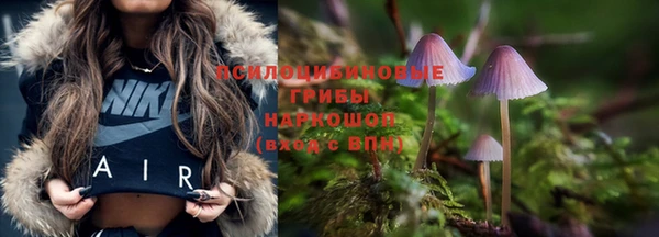 марихуана Заводоуковск