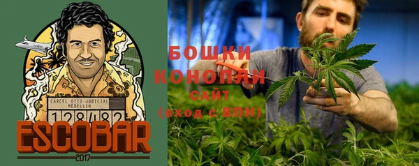 марихуана Заводоуковск